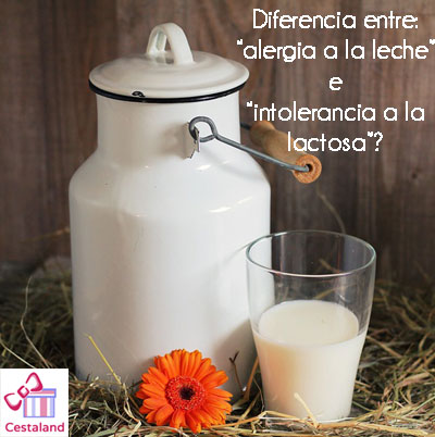 diferencia entre alergia a la leche e intolerancia ala lactosa