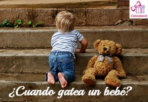 cuándo gatea un bebé