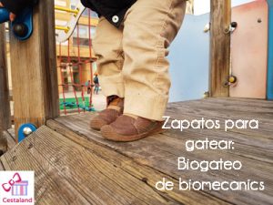 zapatos para gatear