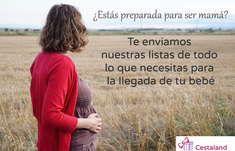 listas-embarazada-sumome